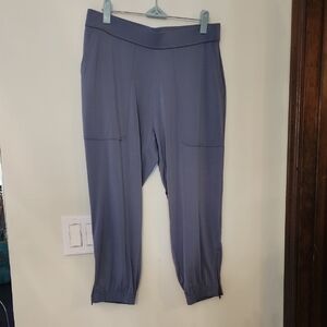 Lisa Rinna Elastic Waistband Joggers with Tapered Cuffs